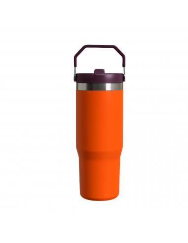 Termo Big 2025 Multicolor